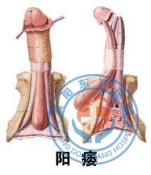 �������ҽԺ