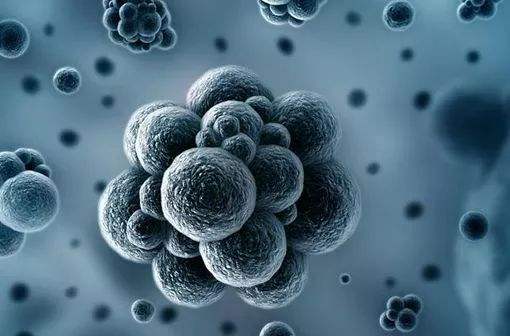 ��ͷ��Σ��